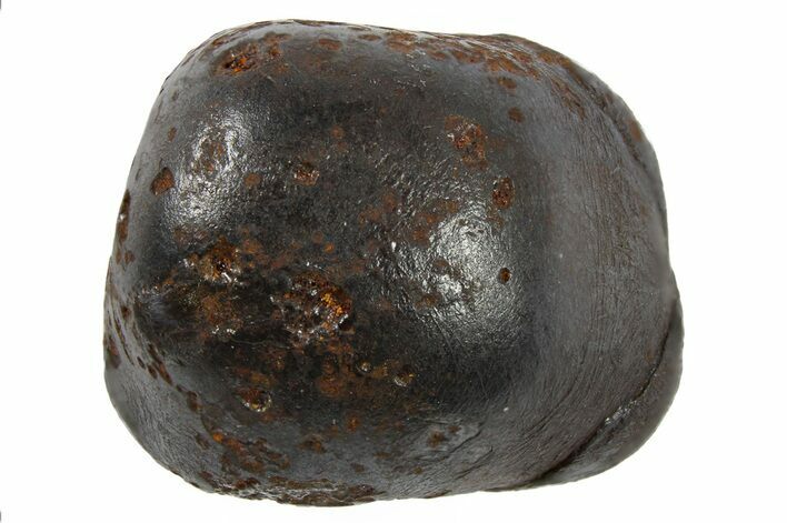 Sikhote-Alin Iron Meteorite ( g) - Russia #266701